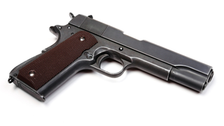 Outed 73-Year-Old Gun Owner Says Newspaper Made Her Feel Like a Sex Offender